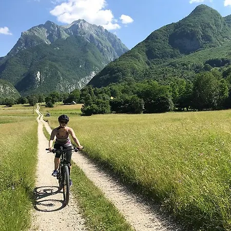 Апартаменты Apartmaji Sofija&ana *