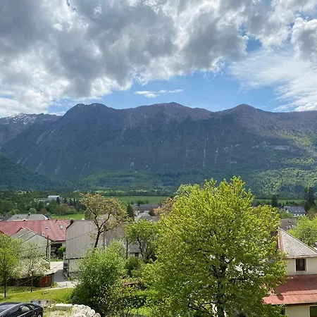 Апартаменты Apartmaji Sofija&ana *